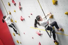 2025年荷兰博彩监管机构重组