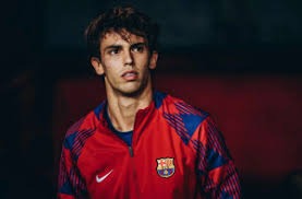 意大利诺首次战胜孔蒂，博洛尼亚终结主场对那不勒斯6场不胜